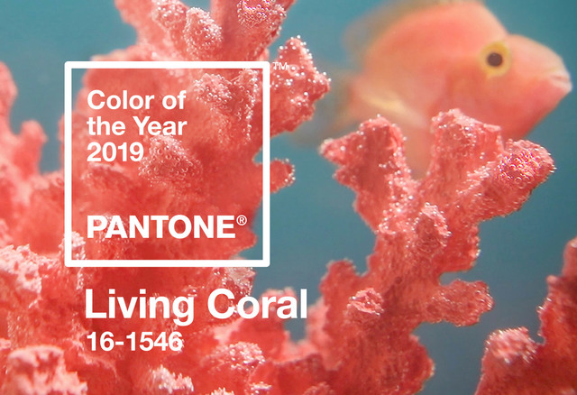 ev-szine-2019-living-coral